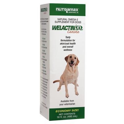 Welactin Canine Liquid Supplement: 16oz