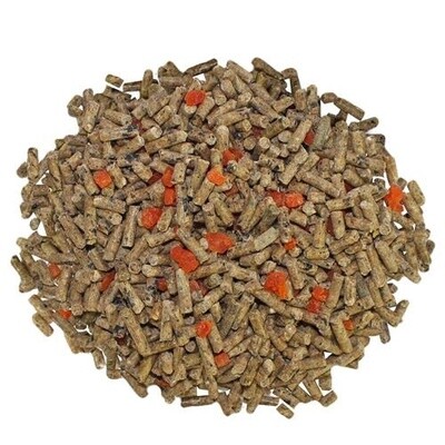 Sugar Glider Diet with Papaya