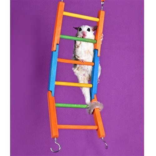 Bendable Funky Ladder