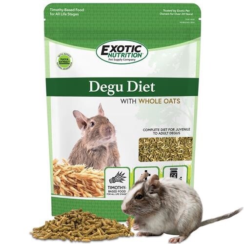 Degu Diet with whole Oats