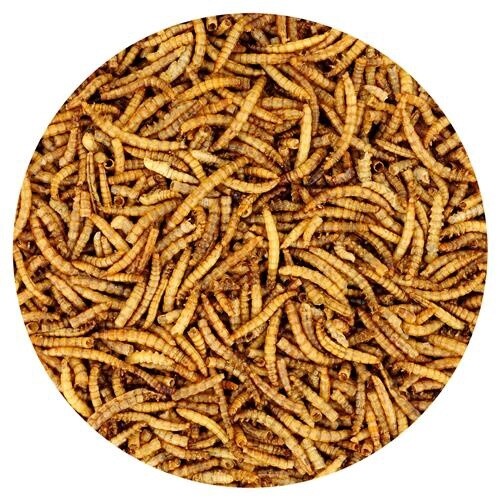 Dried Mealworms 1lb