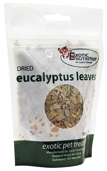 Eucalyptus Leaves