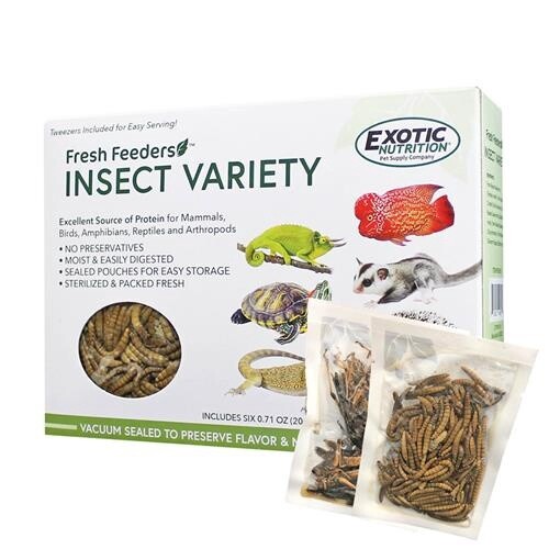 Fresh Feeders.  Insect Variety.