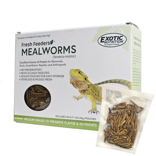 Freshfeeders.  Mealworms.