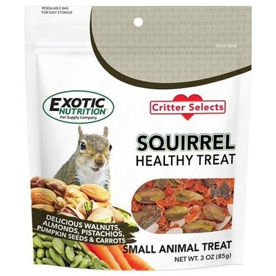 Squirrel Healthy Treat