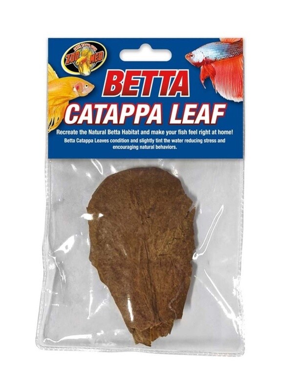 Betta Catappa Leaf