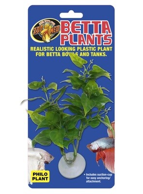 Betta Plant.  Philo Plant.
