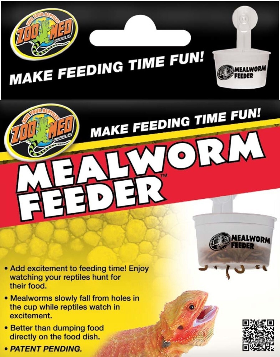 mealworm feeder