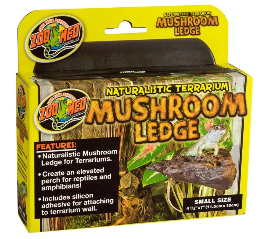 naturalistic terrarium mushroom ledge