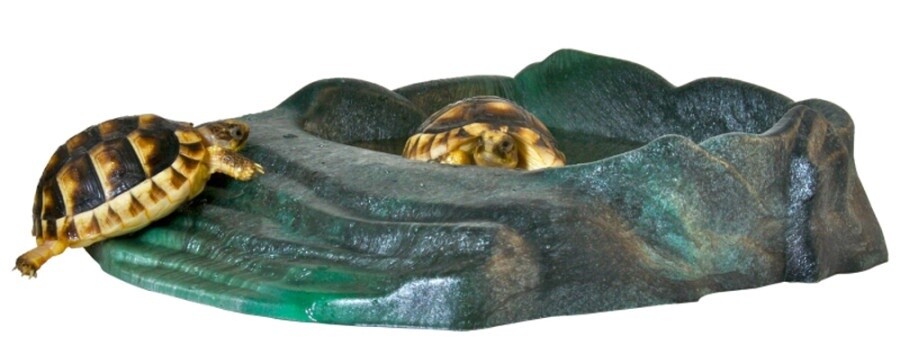 repti ramp bowl, Size: small