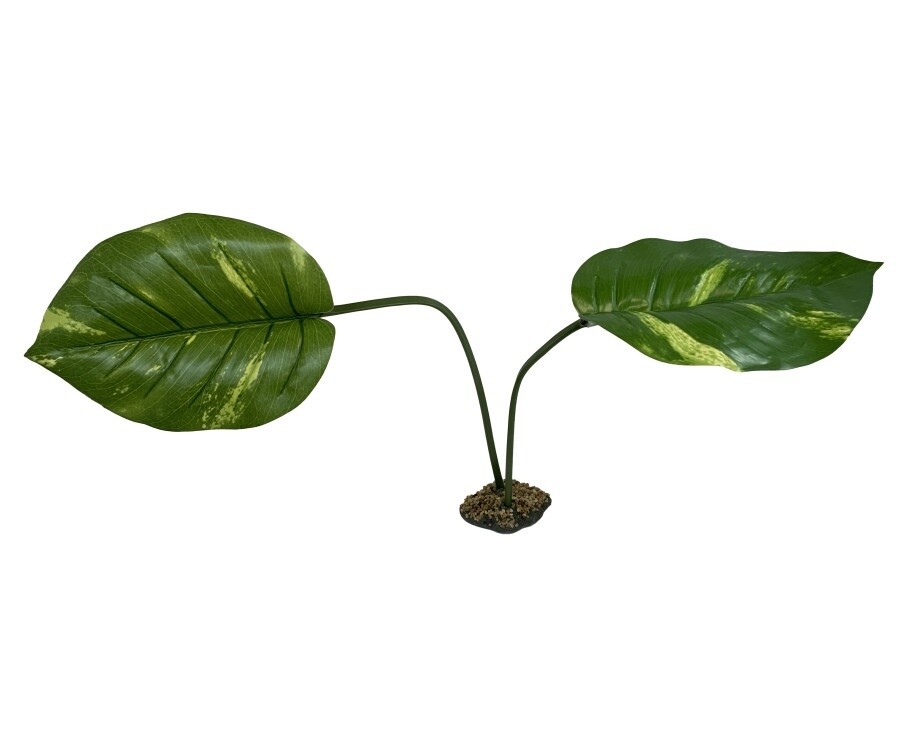 Gulana Plant Jumbo