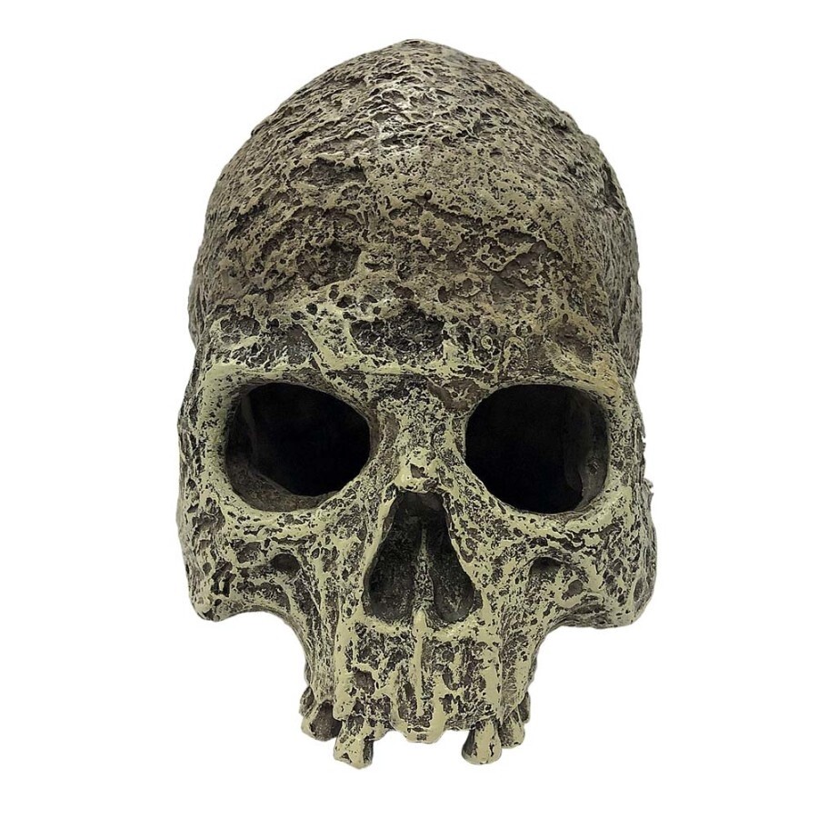 Textured Skull