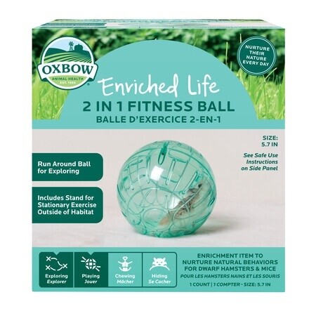 2 in 1 Fitness Ball