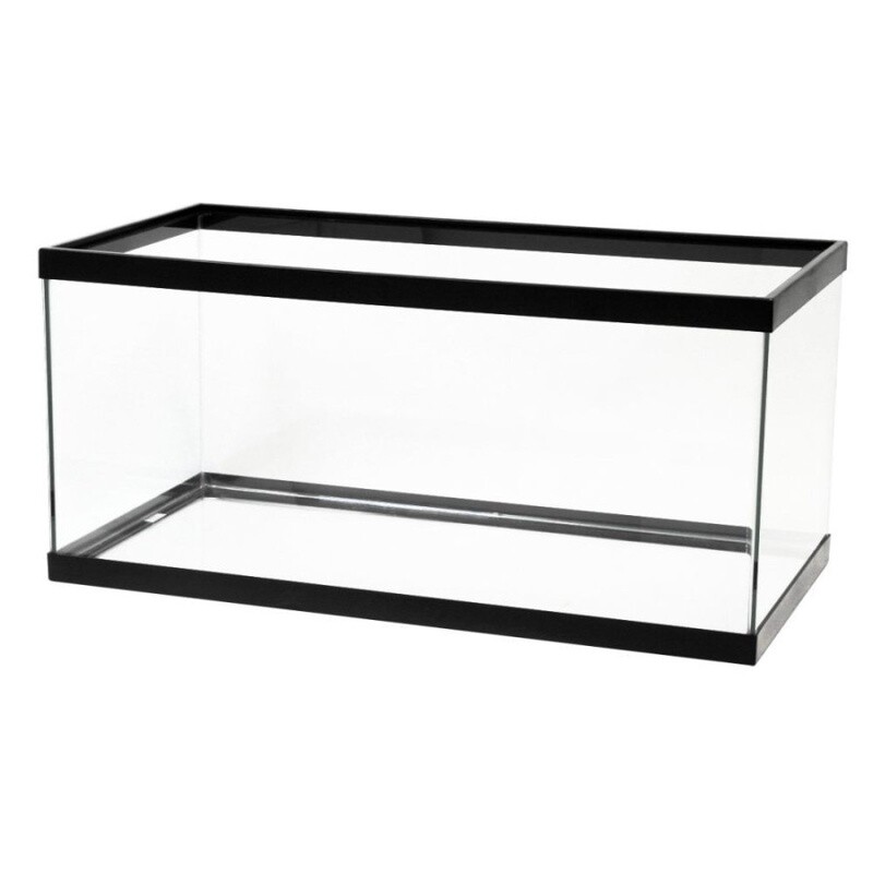 40 Breeder Aquarium