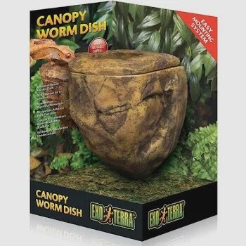 canopy worm dish