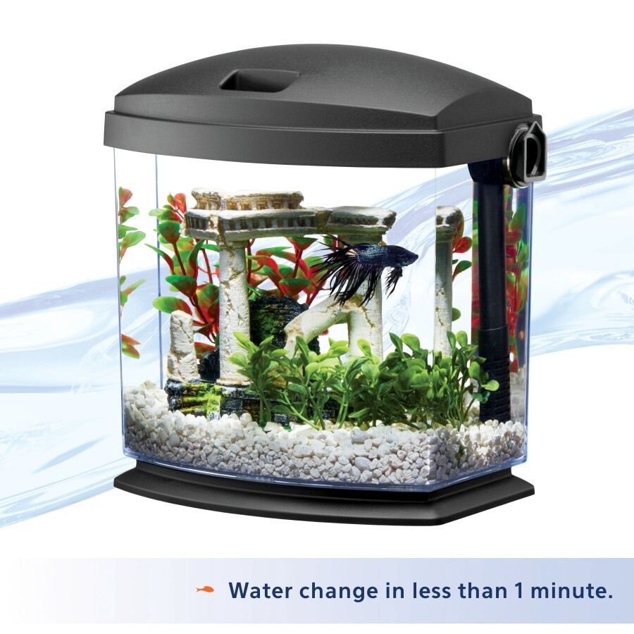 Aqueon BettaBow with Quick Clean Technology Aquarium Kit, Black, 1ea/1 gal