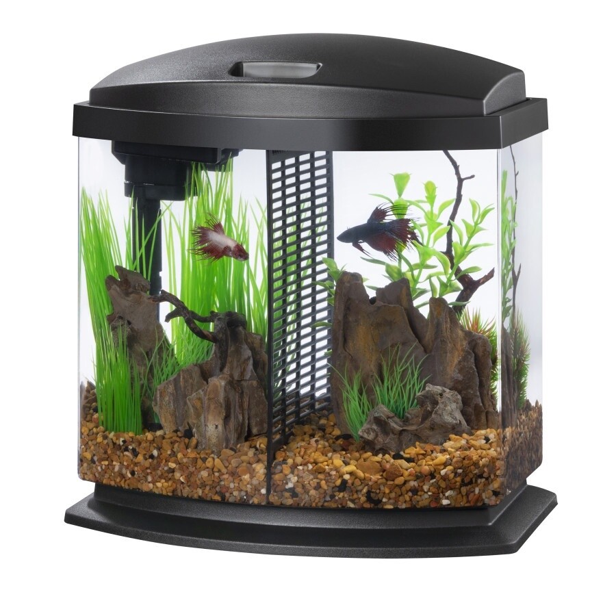 Aqueon LED BettaBow Kit SmartClean Black, 1ea/2.5 gal