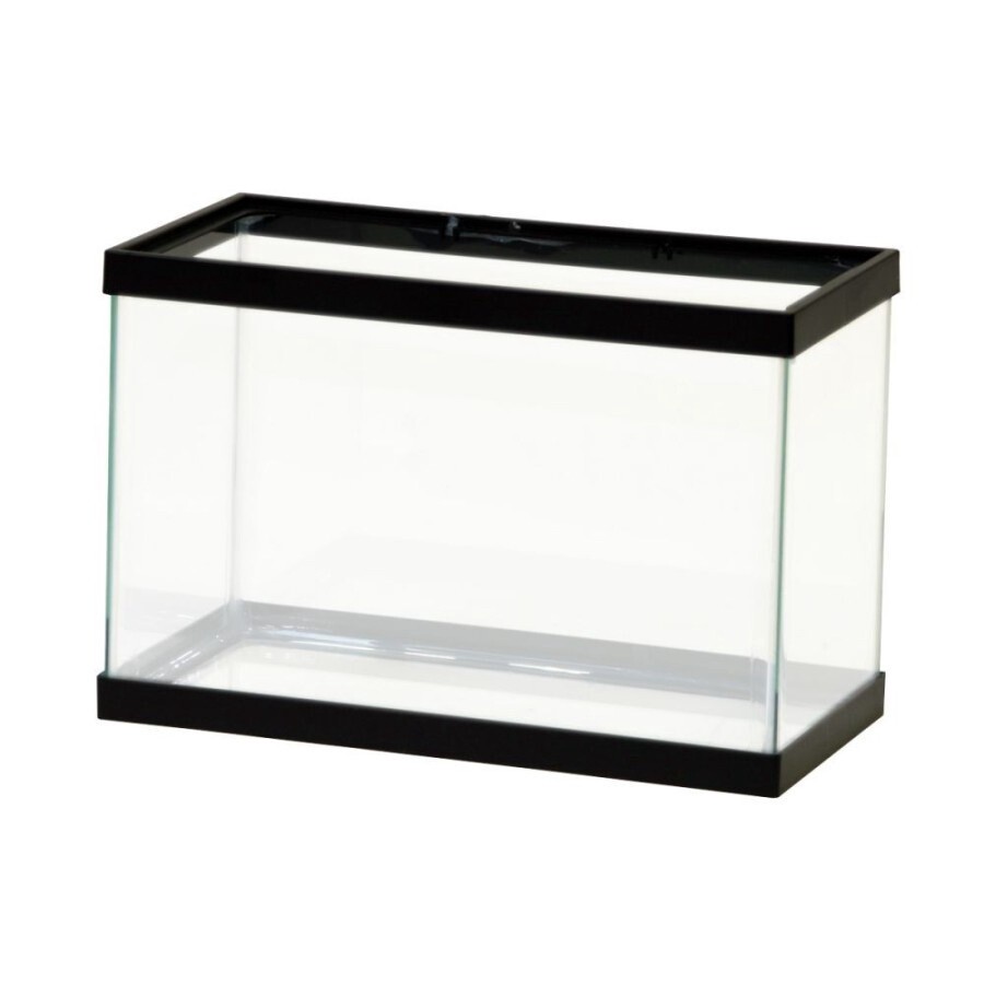 Aqueon Standard Glass Rectangle Aquarium Clear Silicone, Black, 1ea/5.5 gal2