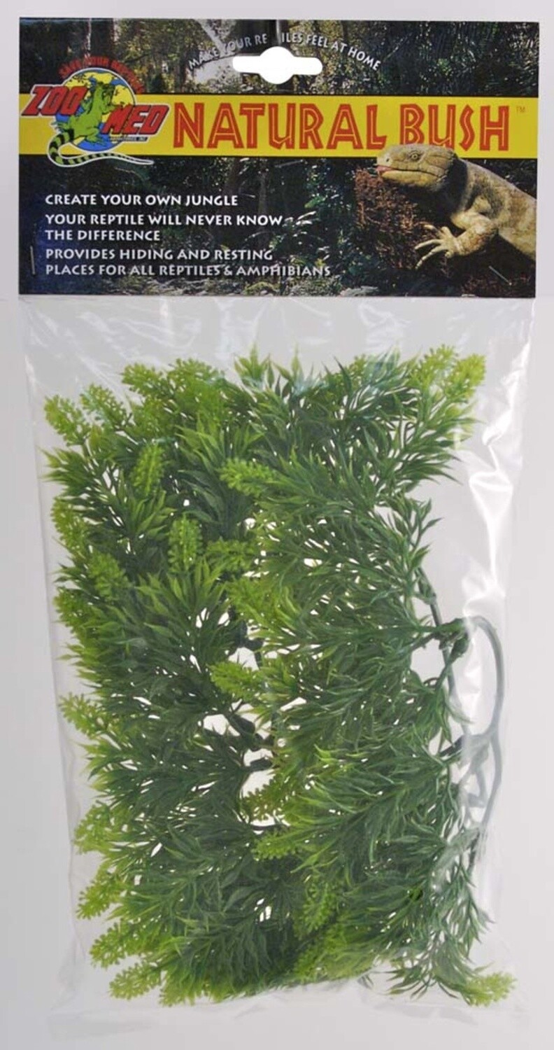 Zoo Med Natural Bush Malaysian Fern Plants Green, 1ea/14 in, SM