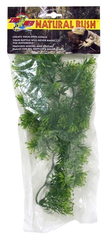 Zoo Med Natural Bush Borneo Star Plants Green, 1ea/14 in, SM