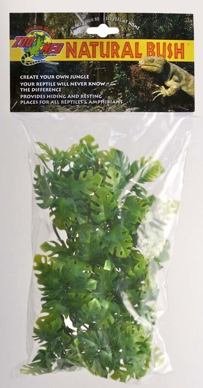 Zoo Med Natural Bush Amazonian Phyllo Plants Green, 1ea/14 in, SM