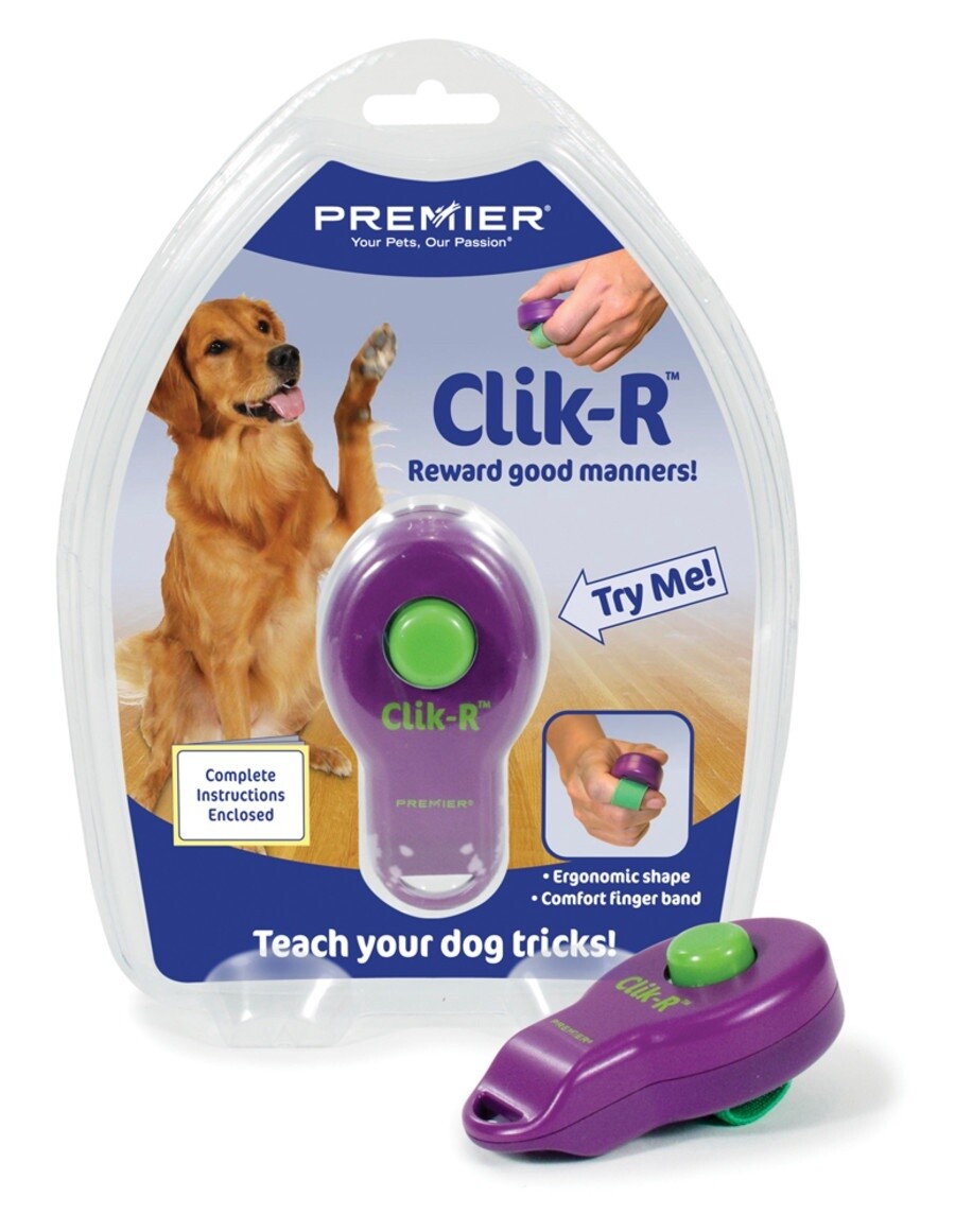 PetSafe Clik-R Training Guide Package Purple, 1ea