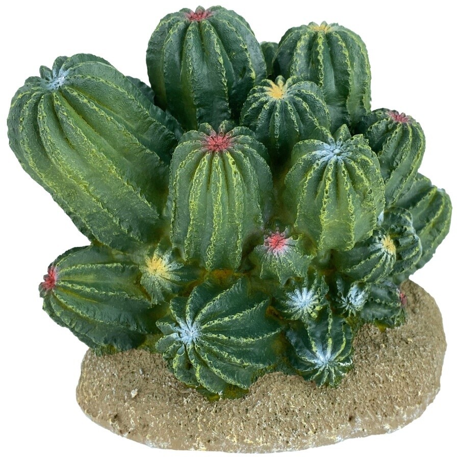 Komodo Cactus Plant Barrel 1ea/4 in