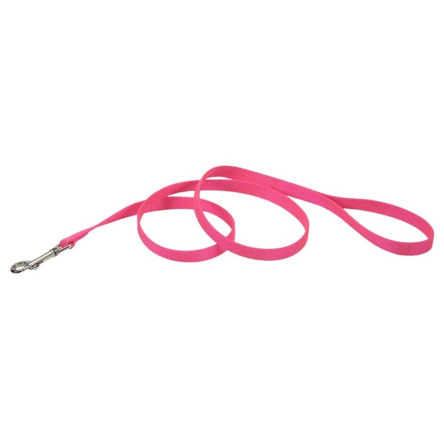 Coastal Single-Ply Nylon Dog Leash Neon Pink, 1ea/5/8 In X 4 ft