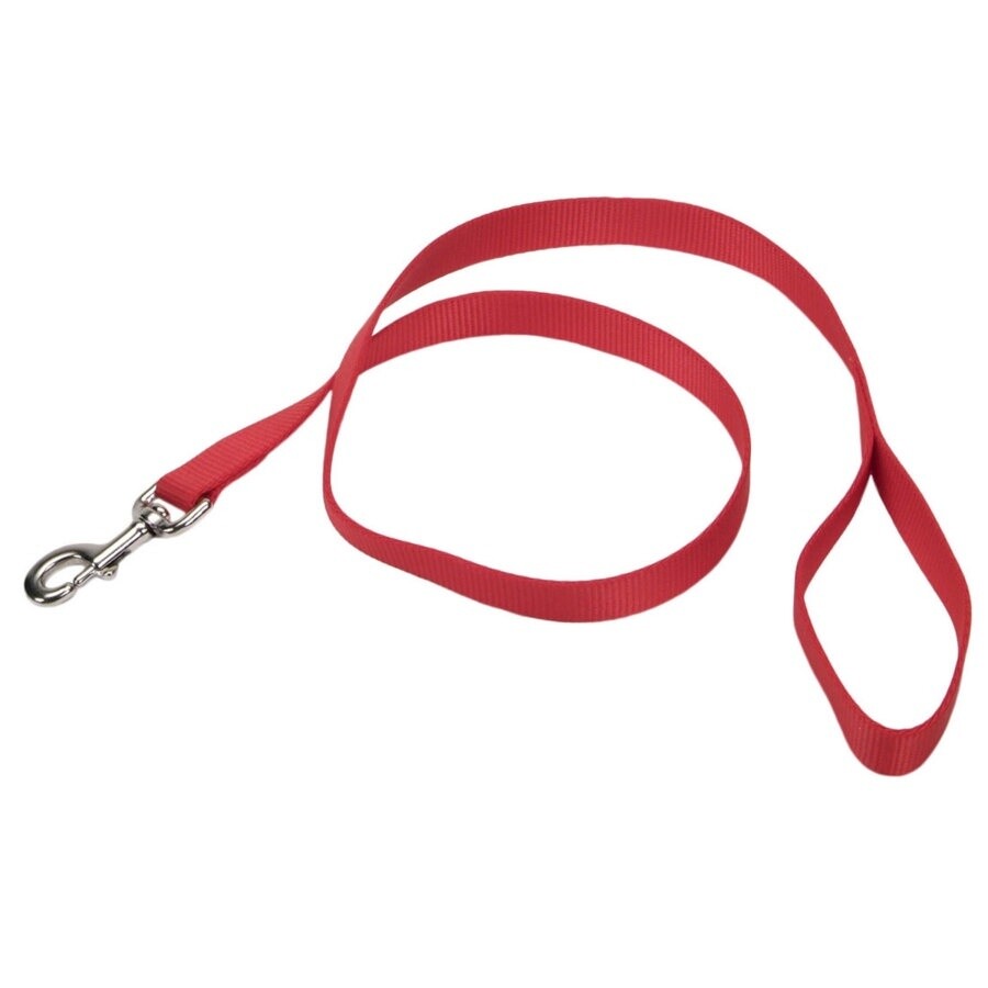 Coastal Single-Ply Nylon Dog Leash Red, 1ea/3/4 In X 4 ft