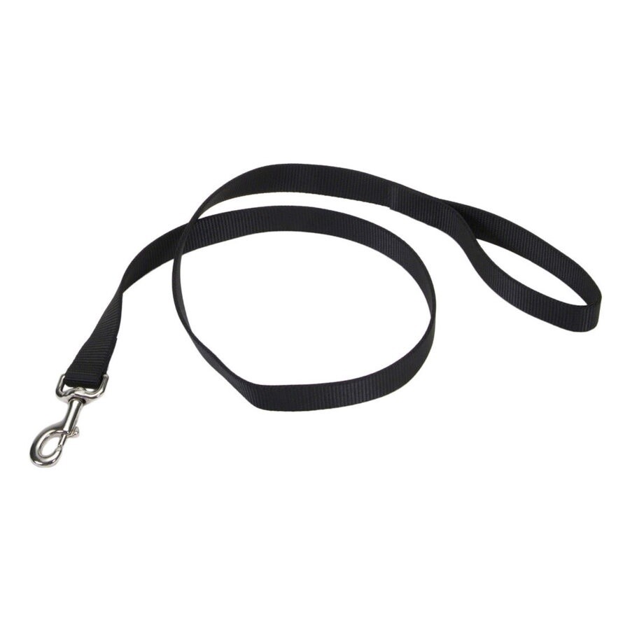 Coastal Single-Ply Nylon Dog Leash Black, 1ea/3/4 In X 4 ft
