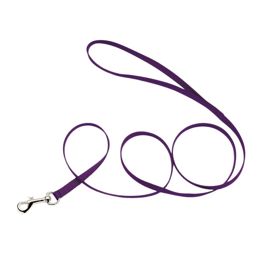 Coastal Single-Ply Nylon Dog Leash Purple, 1ea/3/8 In X 4 ft