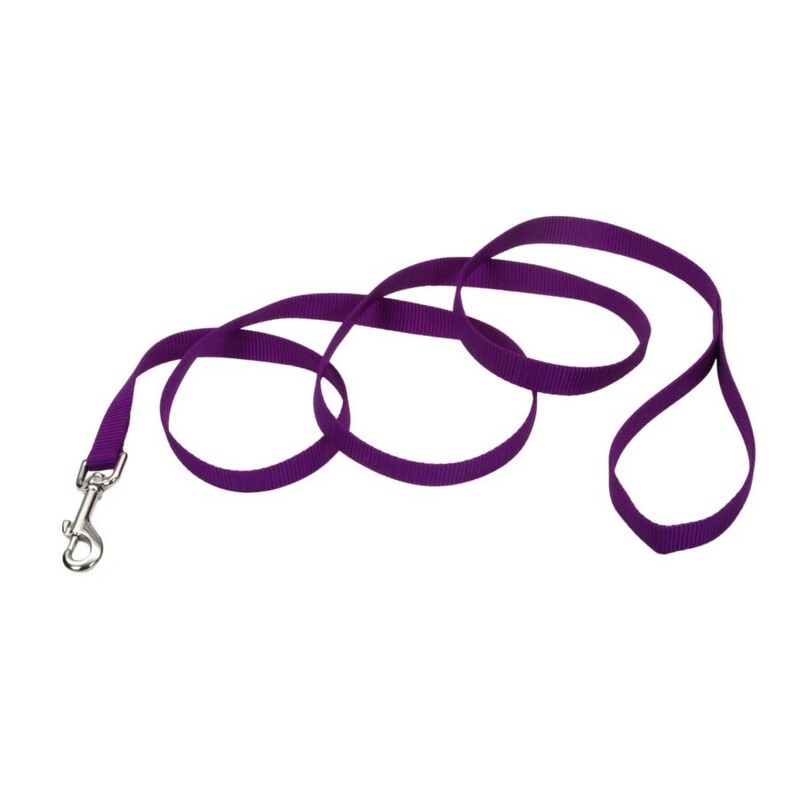 Coastal Single-Ply Nylon Dog Leash Purple, 1ea/3/4 In X 6 ft
