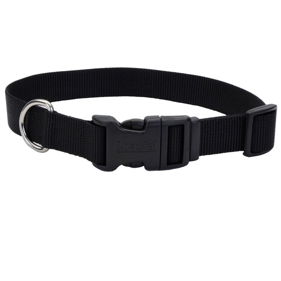 Coastal Adjustable Nylon Dog Collar with Plastic Buckle Black