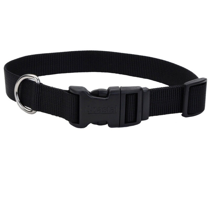Coastal Adjustable Nylon Dog Collar with Plastic Buckle Black