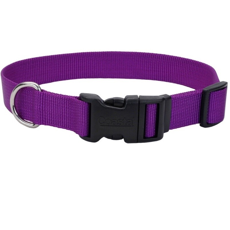 Coastal dog collar SM