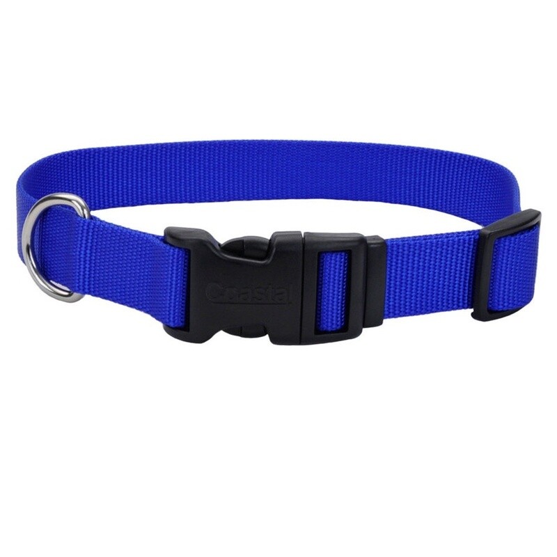 Coastal dog collar blue