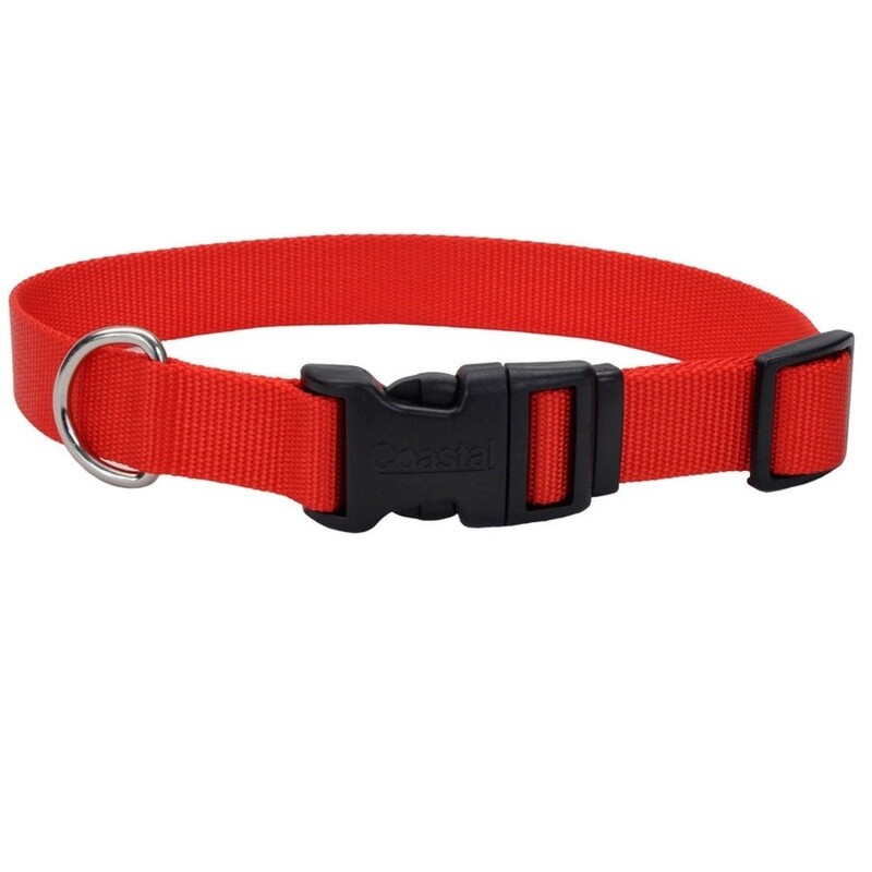 Coastal dog collar red