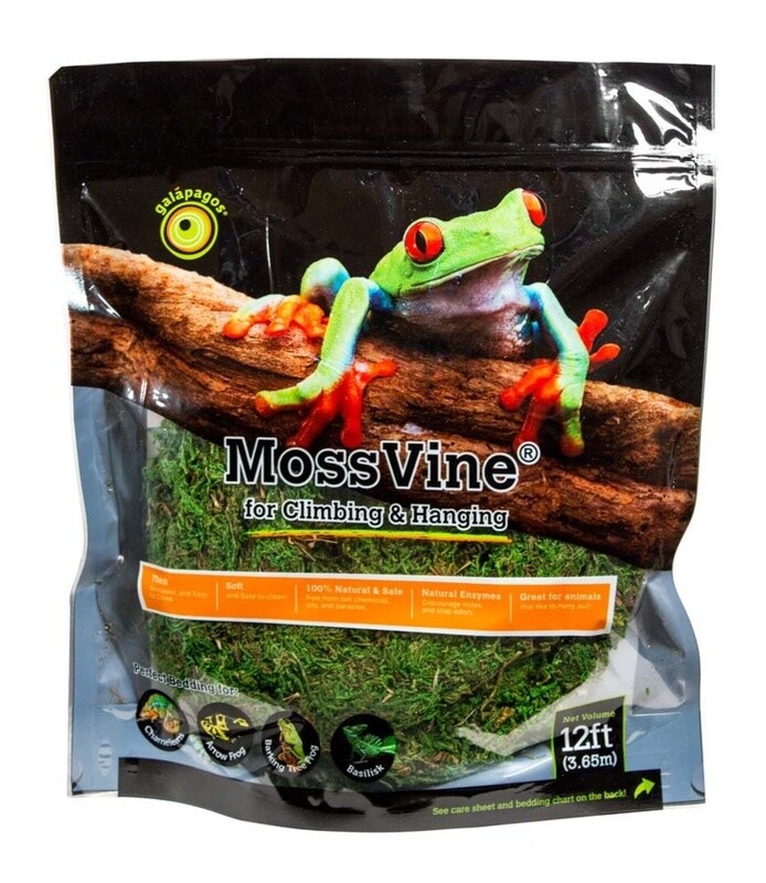 Galapagos MossVine for Hanging &amp; Climbing Fresh Green, 1ea/12 ft