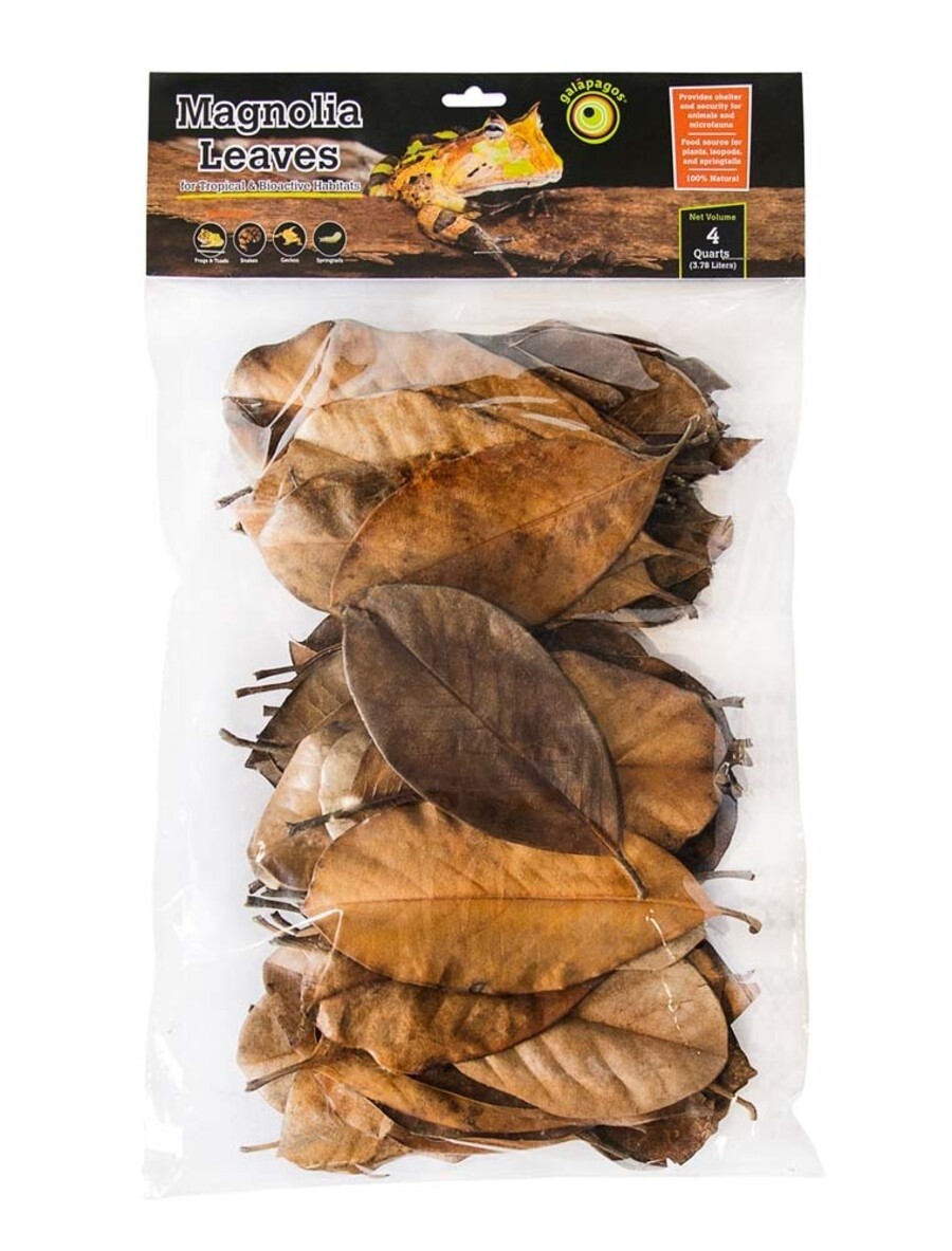 Galapagos Magnolia Leaves for Tropical &amp; Bioactive Habitats Brown, 1ea/4 qt