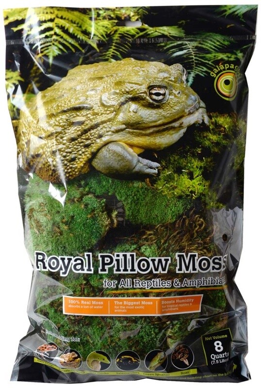 Galapagos Royal Pillow Moss for Tropical &amp; Forest Tanks Fresh Green, 1ea/8 qt