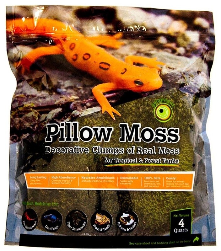 Galapagos Pillow Moss for Tropical &amp; Forest Tanks