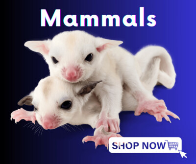 Mammals