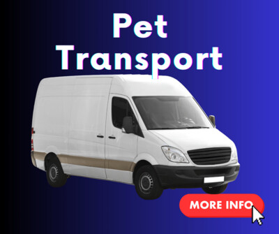Pet transport