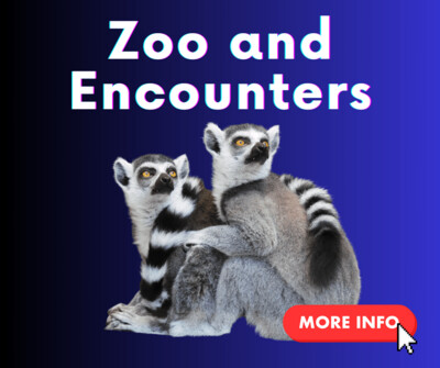 Zoo &amp; Encounters