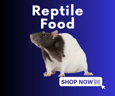 Reptile Food