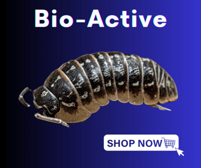 Bio-Active