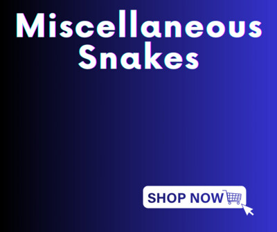 Misc