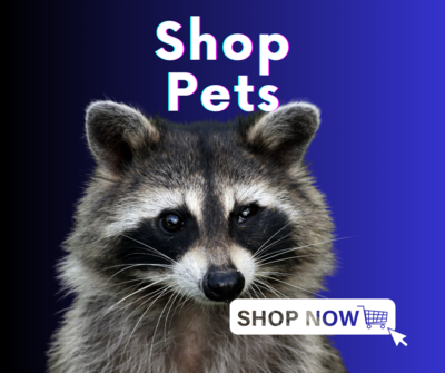 Pets