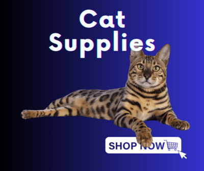 Cat Supplies