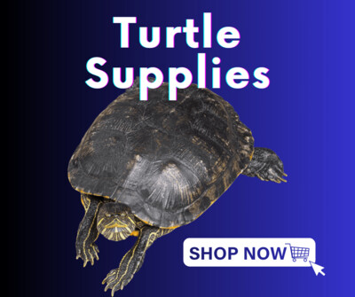 Turtle supplies